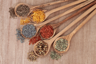 holistic-healing-herbs